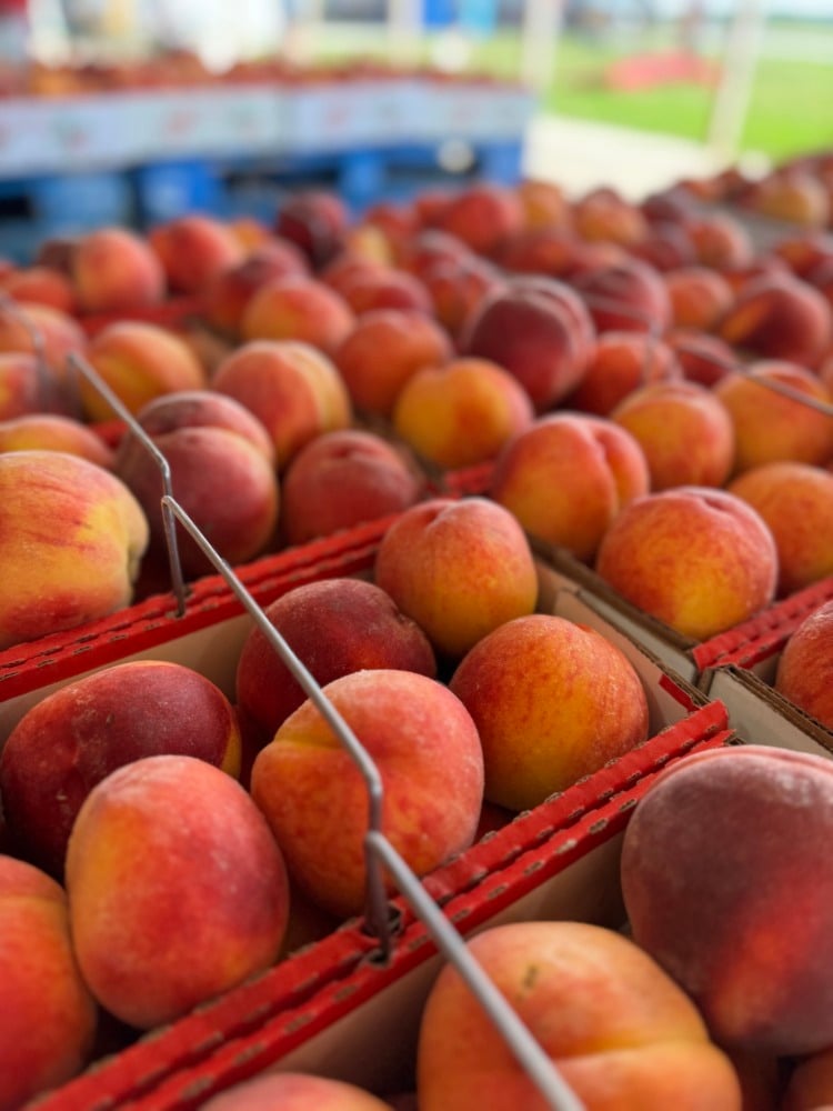 lynd fruit farm peach fest