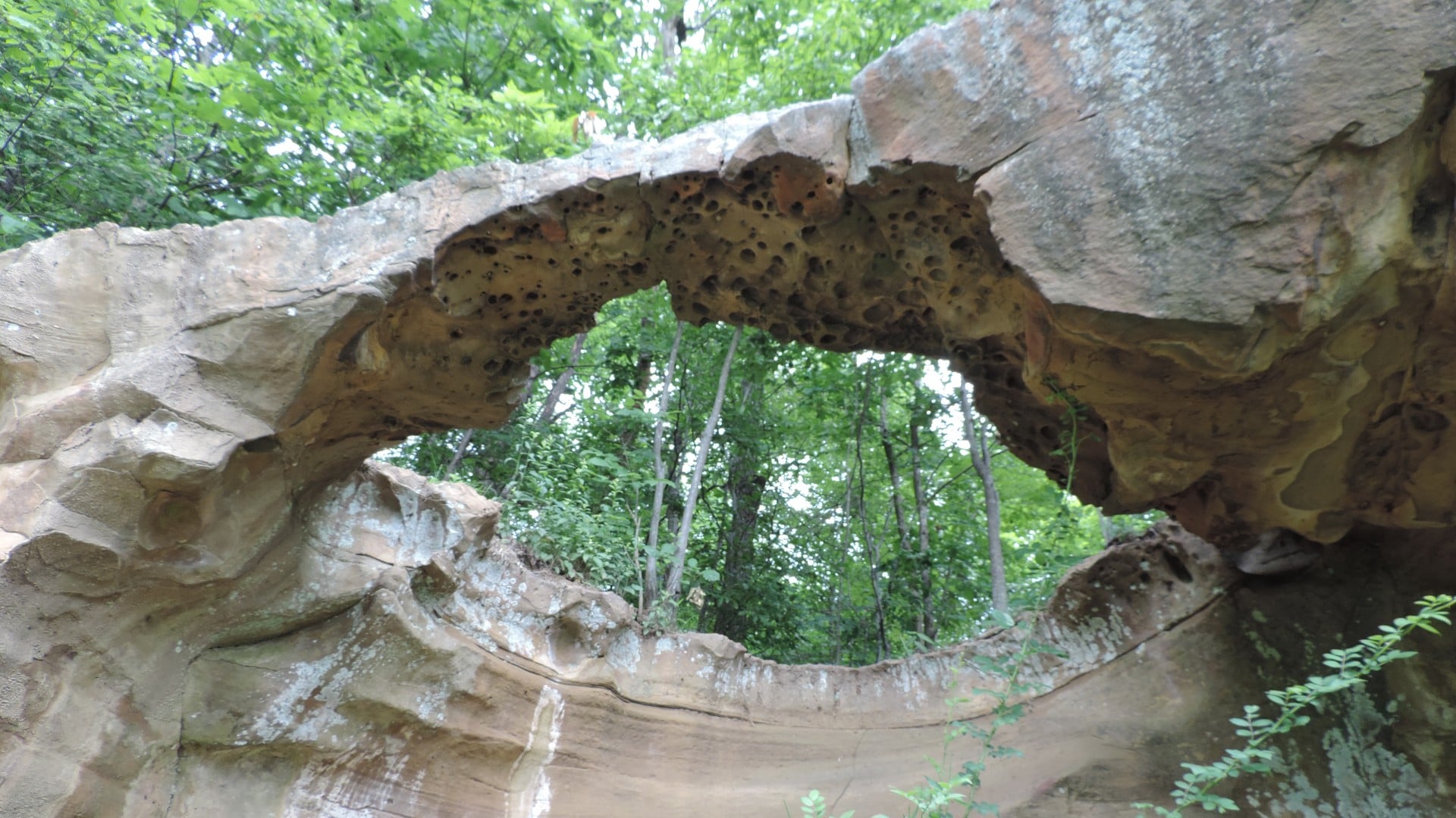 Raven Rock Is The Permit-Only Overlook Above The Ohio River That's Worth The Two-Week Wait 3 A natural arch at Raven Rock State Nature Preserve, a sandstone span with woods behind it