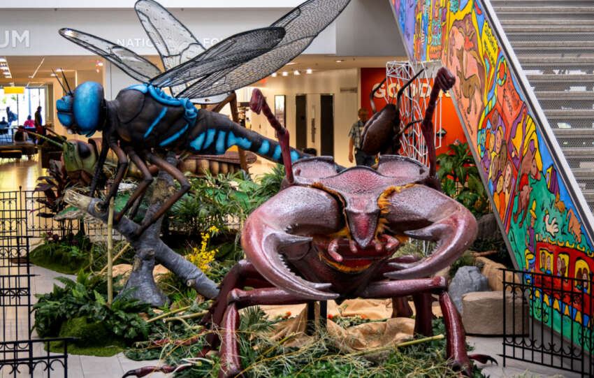 giant bugs columbus library