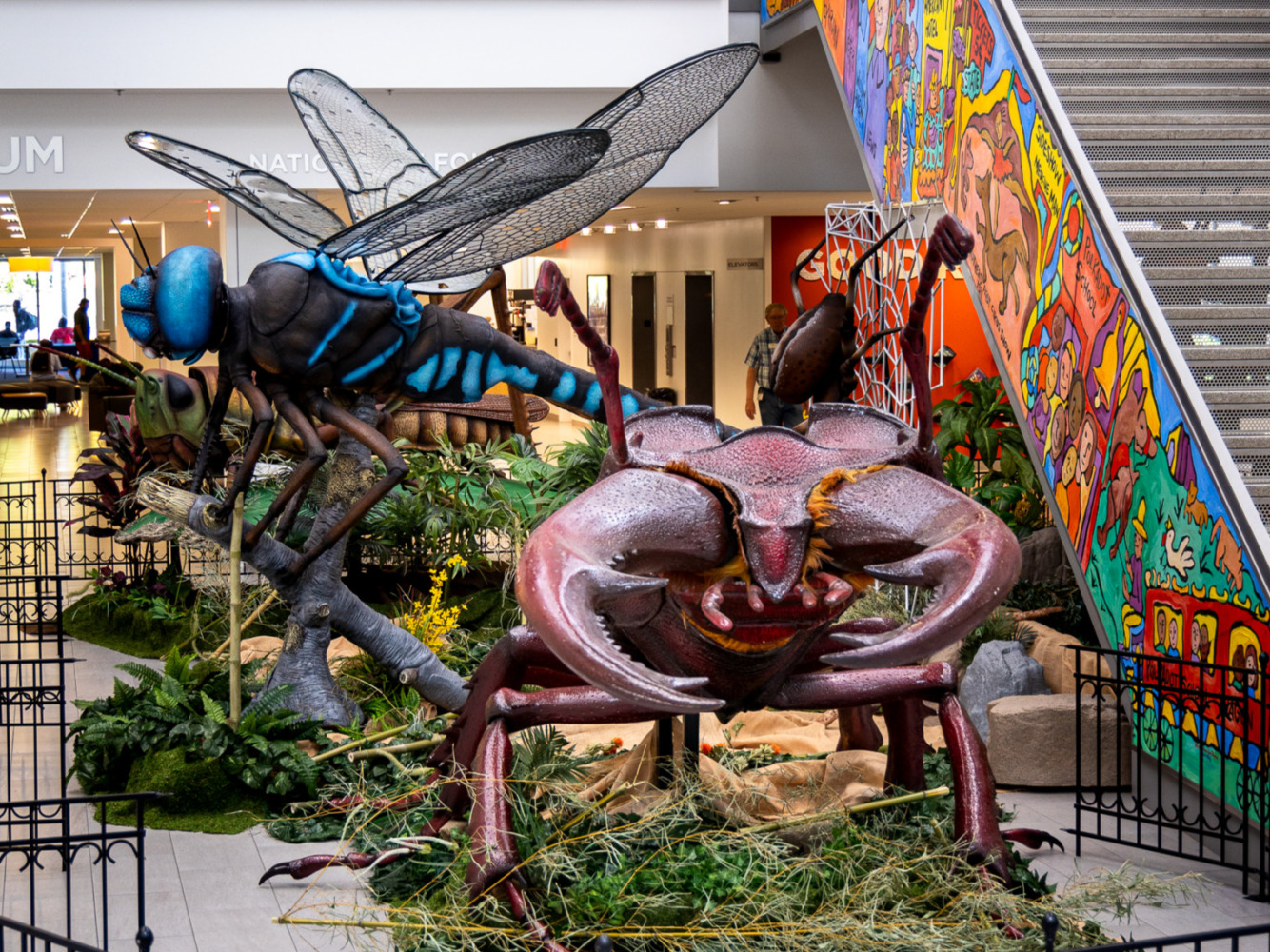 Giant Bugs Are Taking Over Columbus Library And You Can Visit For Free