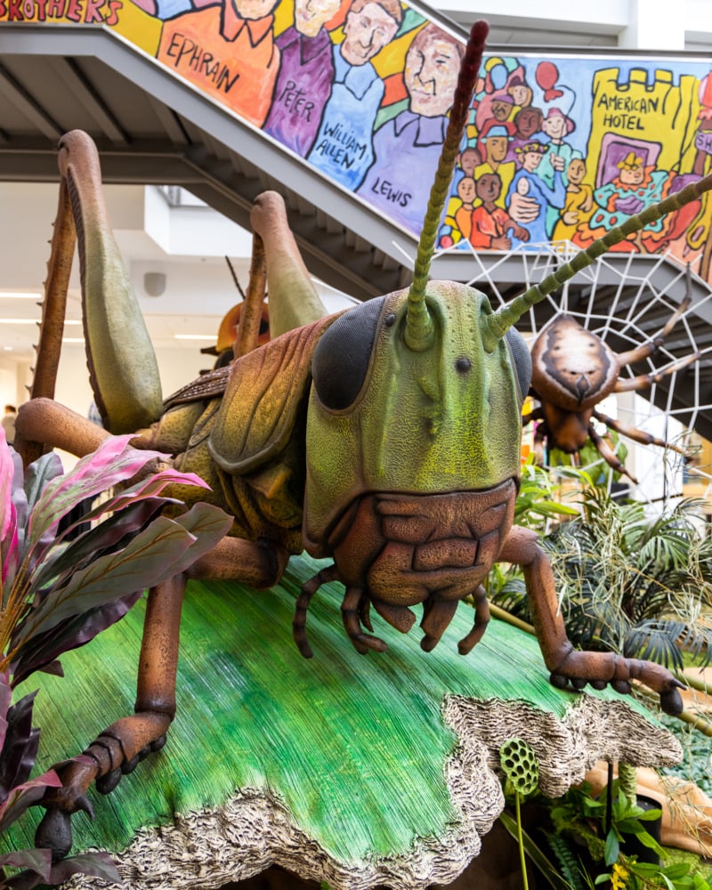 giant grasshopper columbus library
