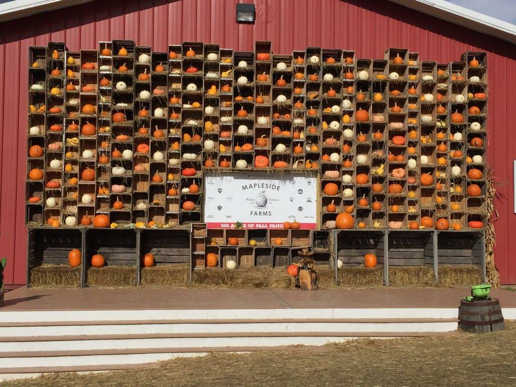 mapleside farms