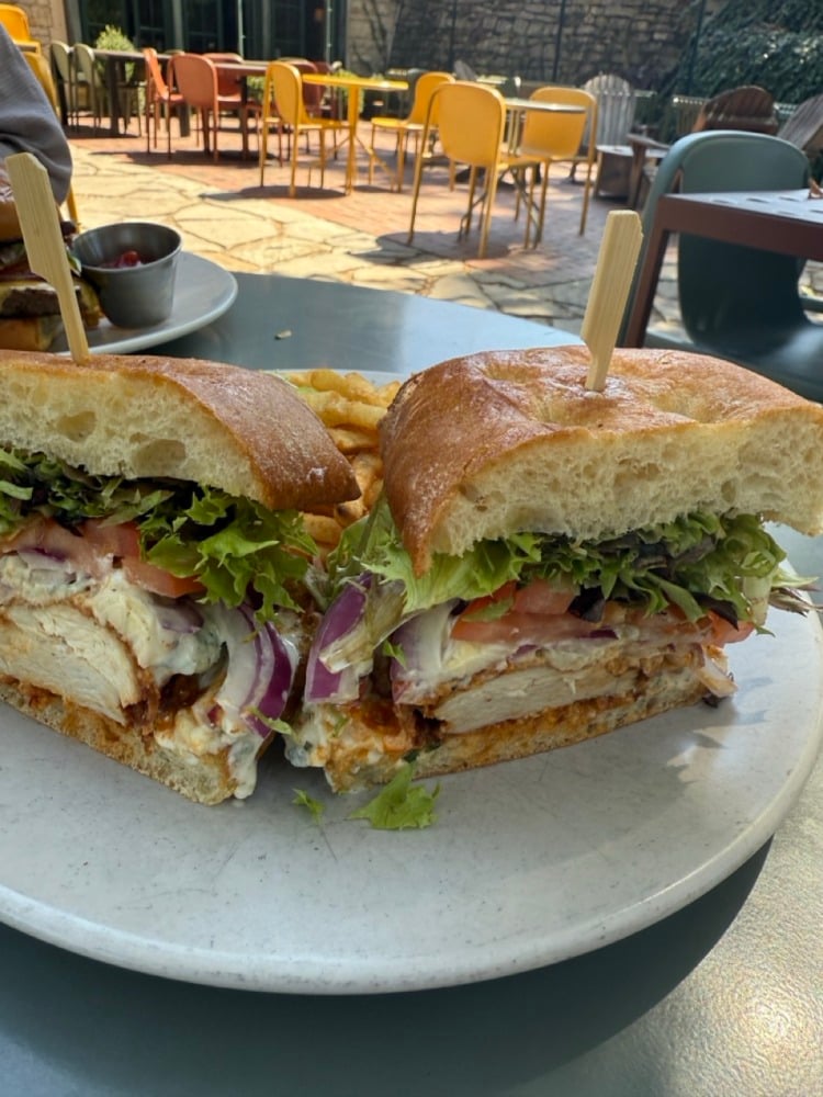 buffalo chicken sandwich