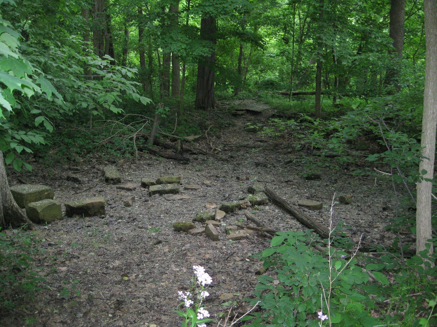 Wooded site of the former Swift Mansion in Swift's Hollow near Vermilion, Ohio