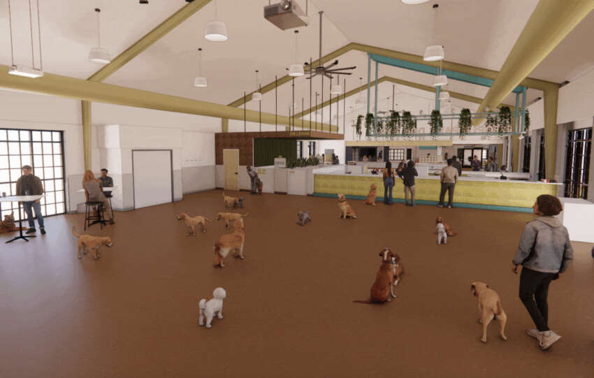 the wag dog bar