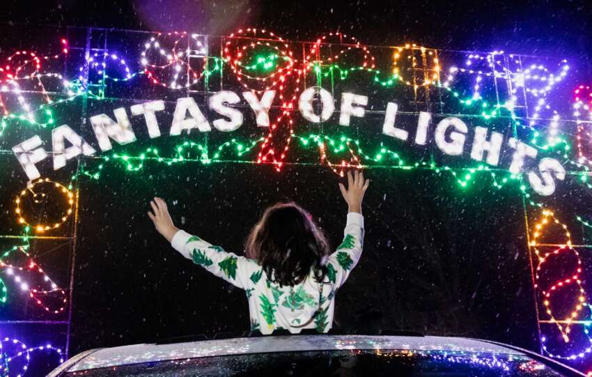 butch bandos fantasy of lights