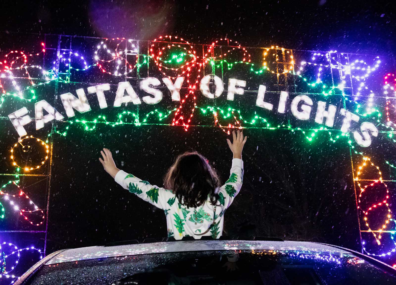 butch bandos fantasy of lights