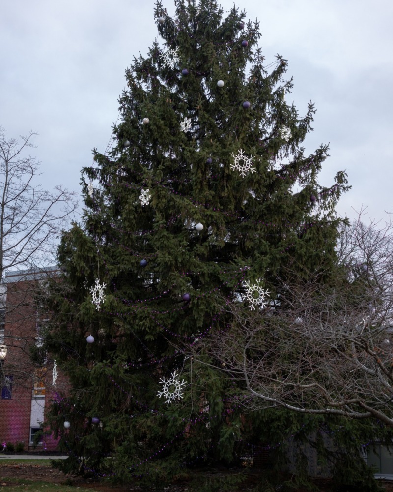 Capital university christmas tree