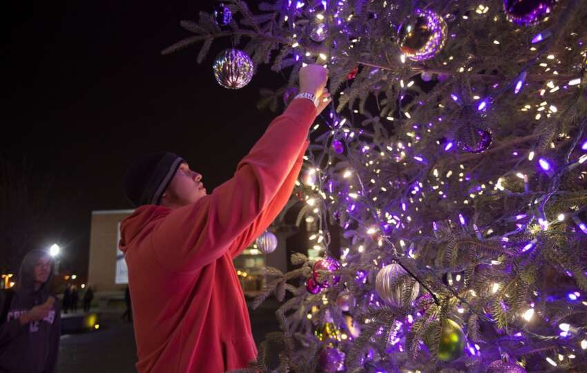 capital christmas tree lighting