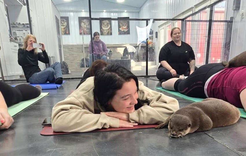 otter yoga
