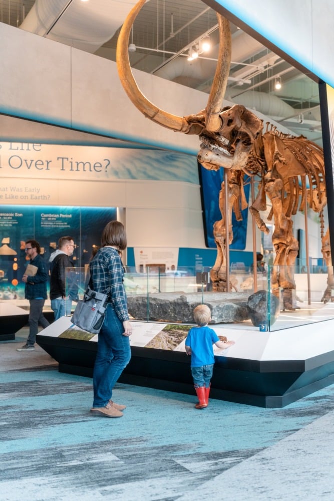 cleveland museum of natural history