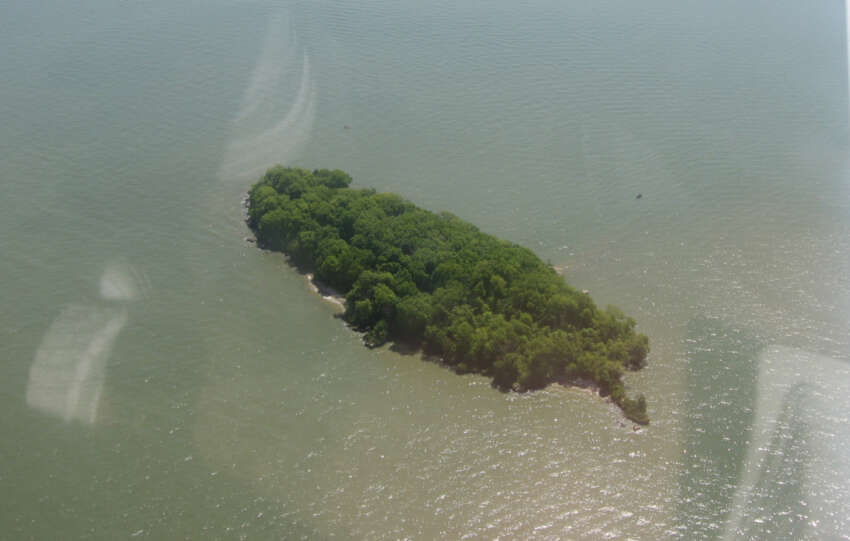 mouse island lake erie