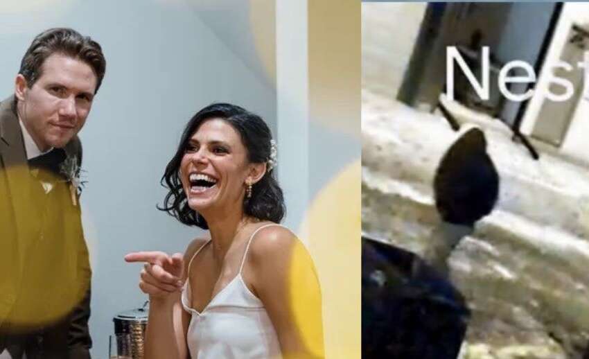 tepe case person of interest