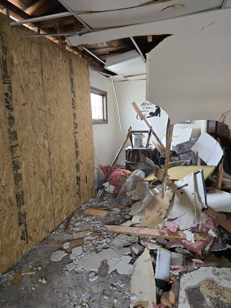 village animal clinic car crash