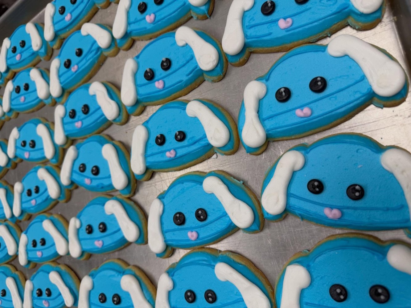 Local Bakery Raises Funds for Immigrant Families With Donation Cookies