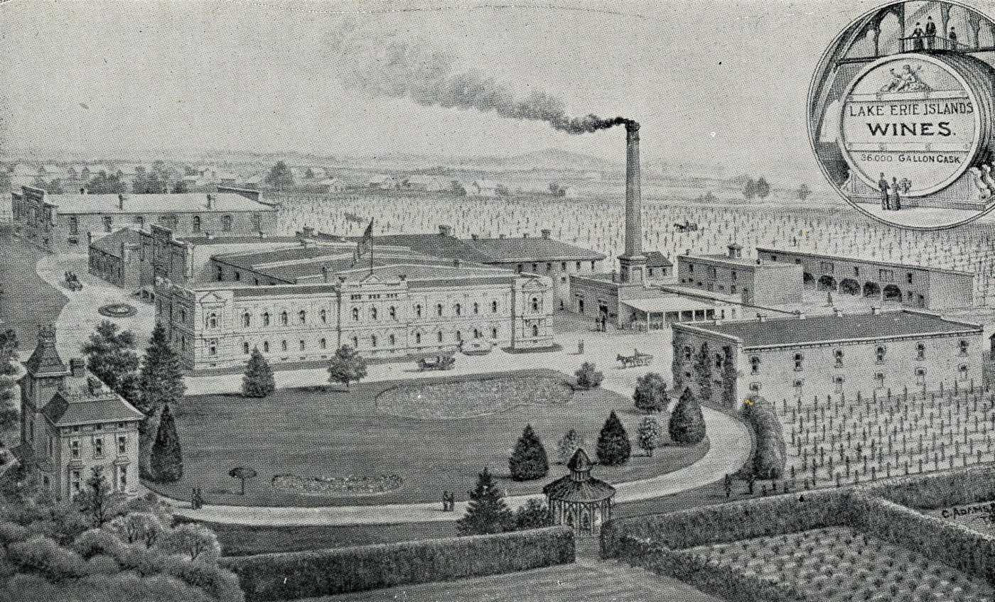 vintage wine company postcard ohio