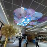 Umi Hotpot Sushi & Seafood Buffet In Columbus: 200+ Dishes umi seafood buffet decor