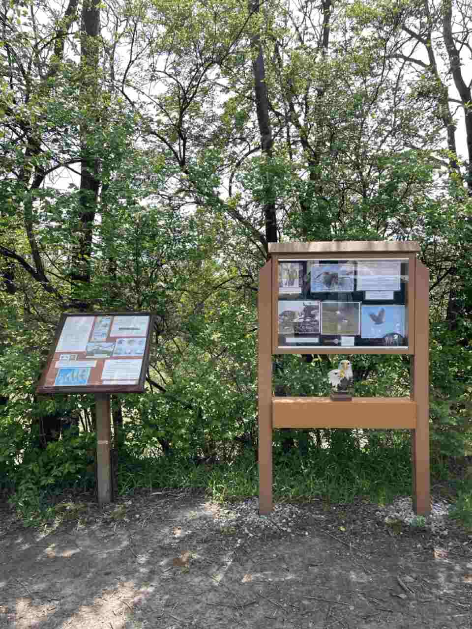 bald eagle viewing signage