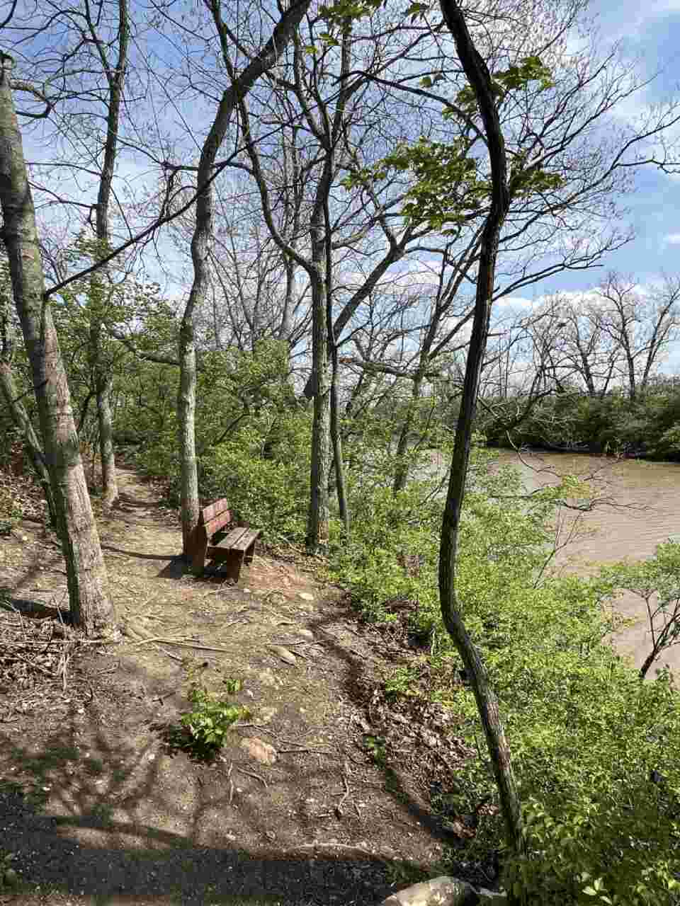 bench overlooking bald eagle nest
