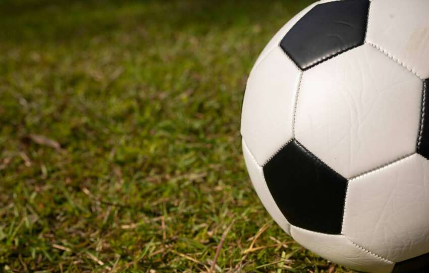 soccer ball on grass