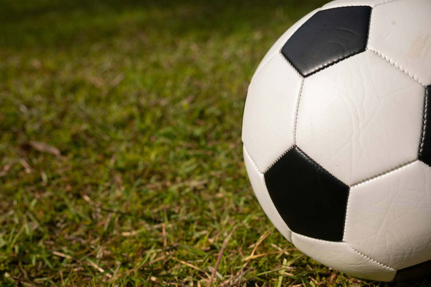 soccer ball on grass