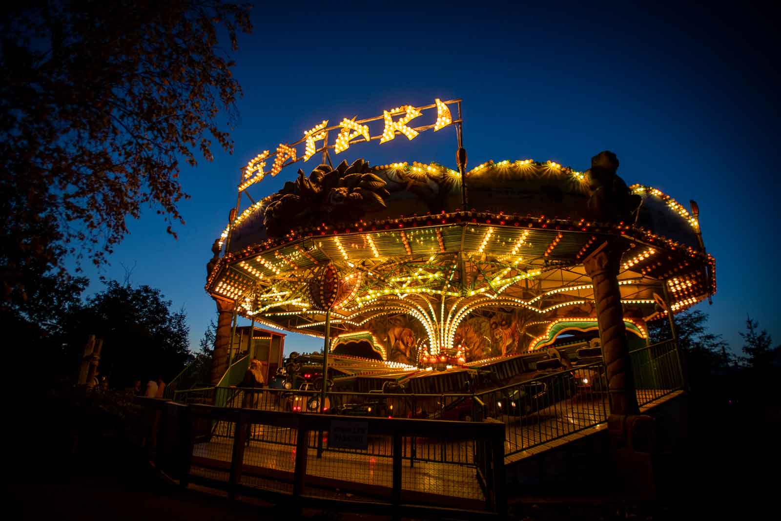 carousel at night