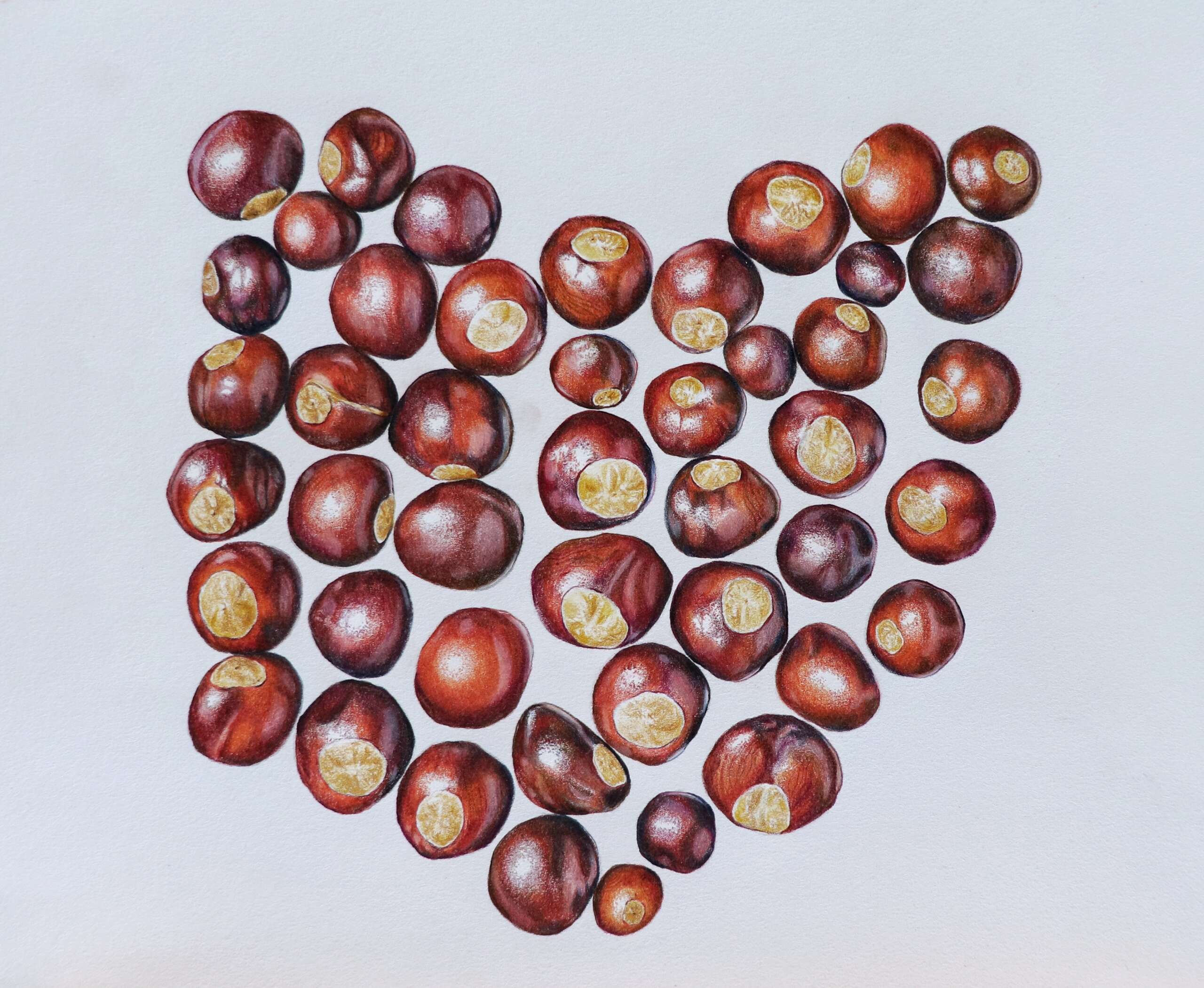 Across the Field: An Artistic Tribute – 2nd Annual Juried Show 1 Across the Field: An Artistic Tribute – 2nd Annual Juried Show