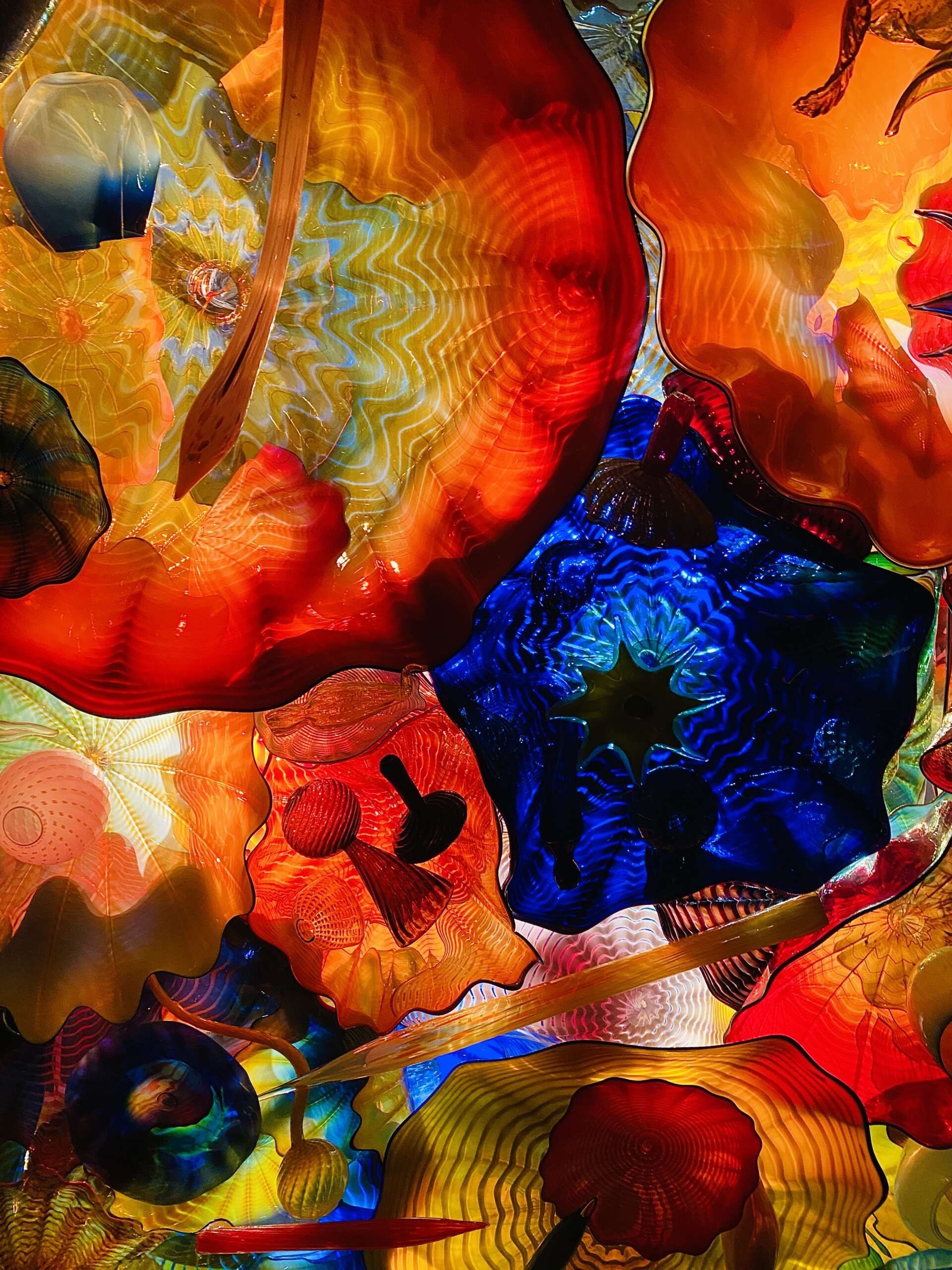 Chihuly Nights 1 Chihuly Nights