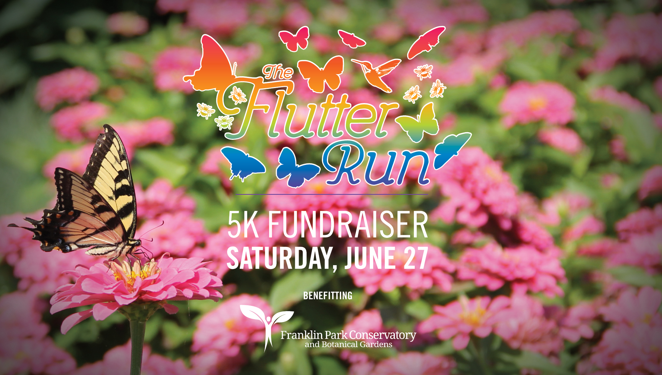 The Flutter Run 1 The Flutter Run