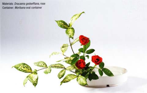 Ohara Ikebana Experience – Slanting Style Moribana Class 1 Ohara Ikebana Experience – Slanting Style Moribana Class