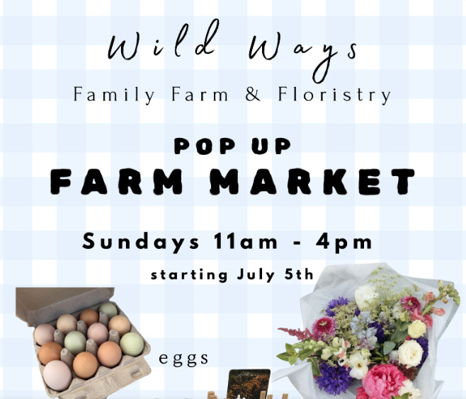 Wild Ways Farm x Floristry Pop Up Farm Market