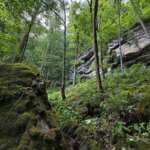 new river wilderness
