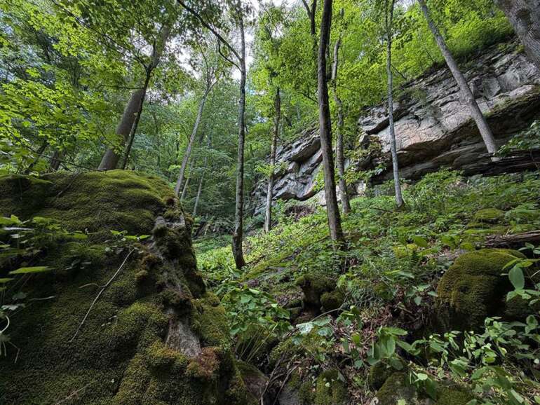 new river wilderness