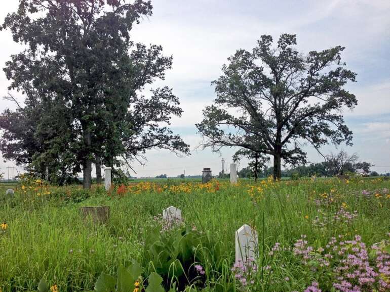 headstones in prairie of wildflowers