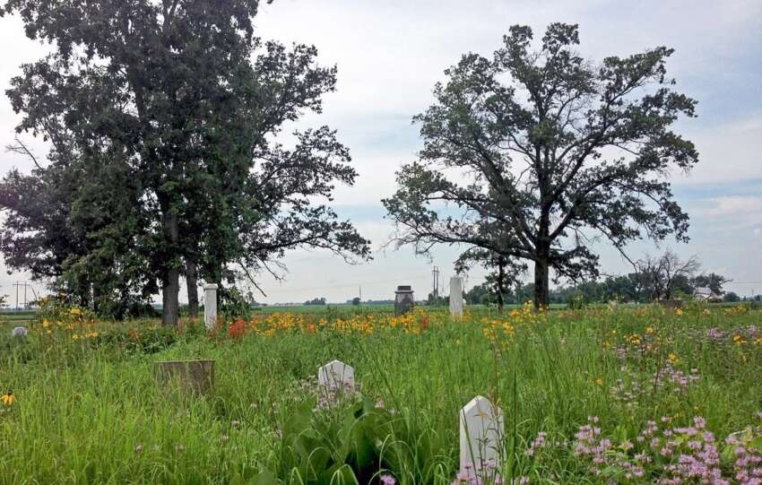 headstones in prairie of wildflowers