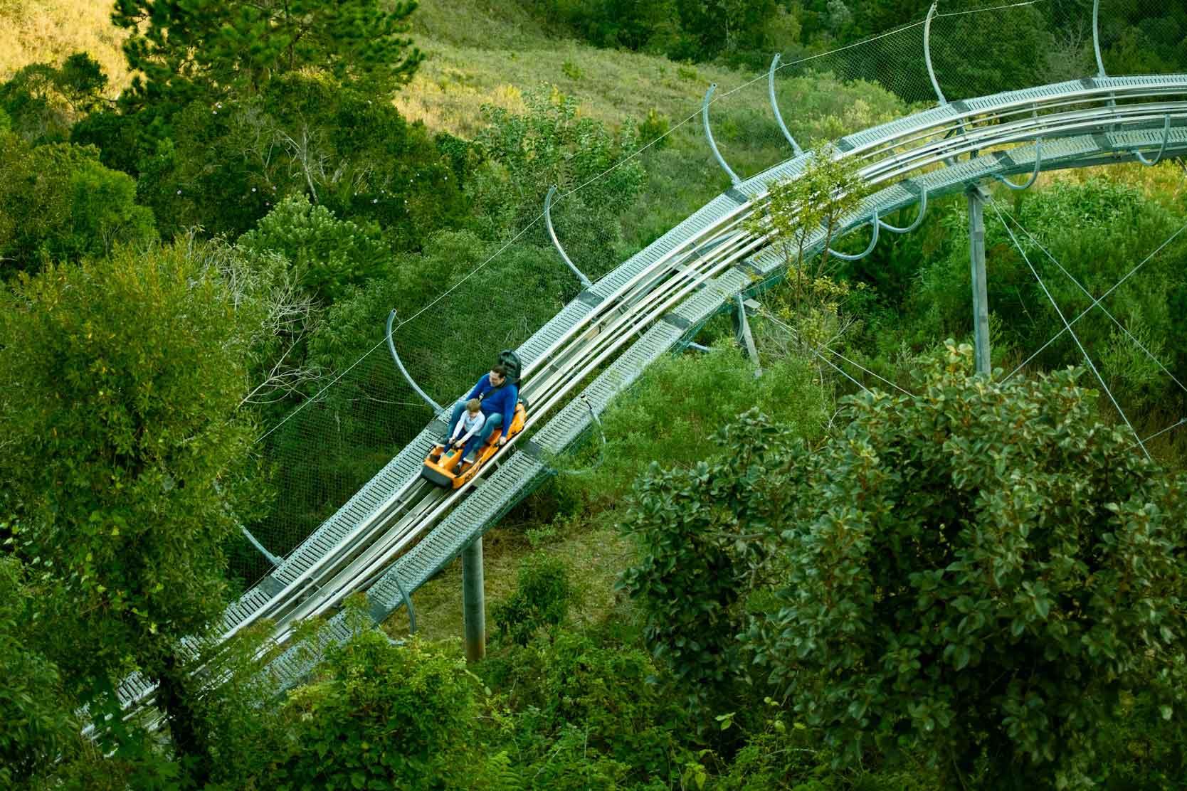 parent and child riding mountain coaster