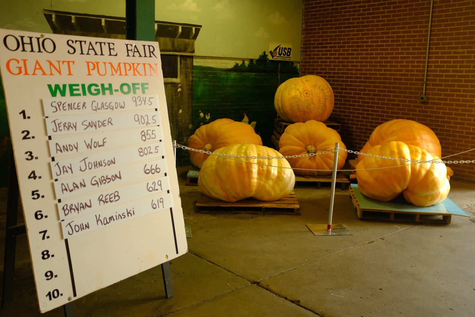 Giant pumpkins on pallets beside the Ohio State Fair Giant Pumpkin Weigh-Off leaderboard, the winner topping 900 pounds