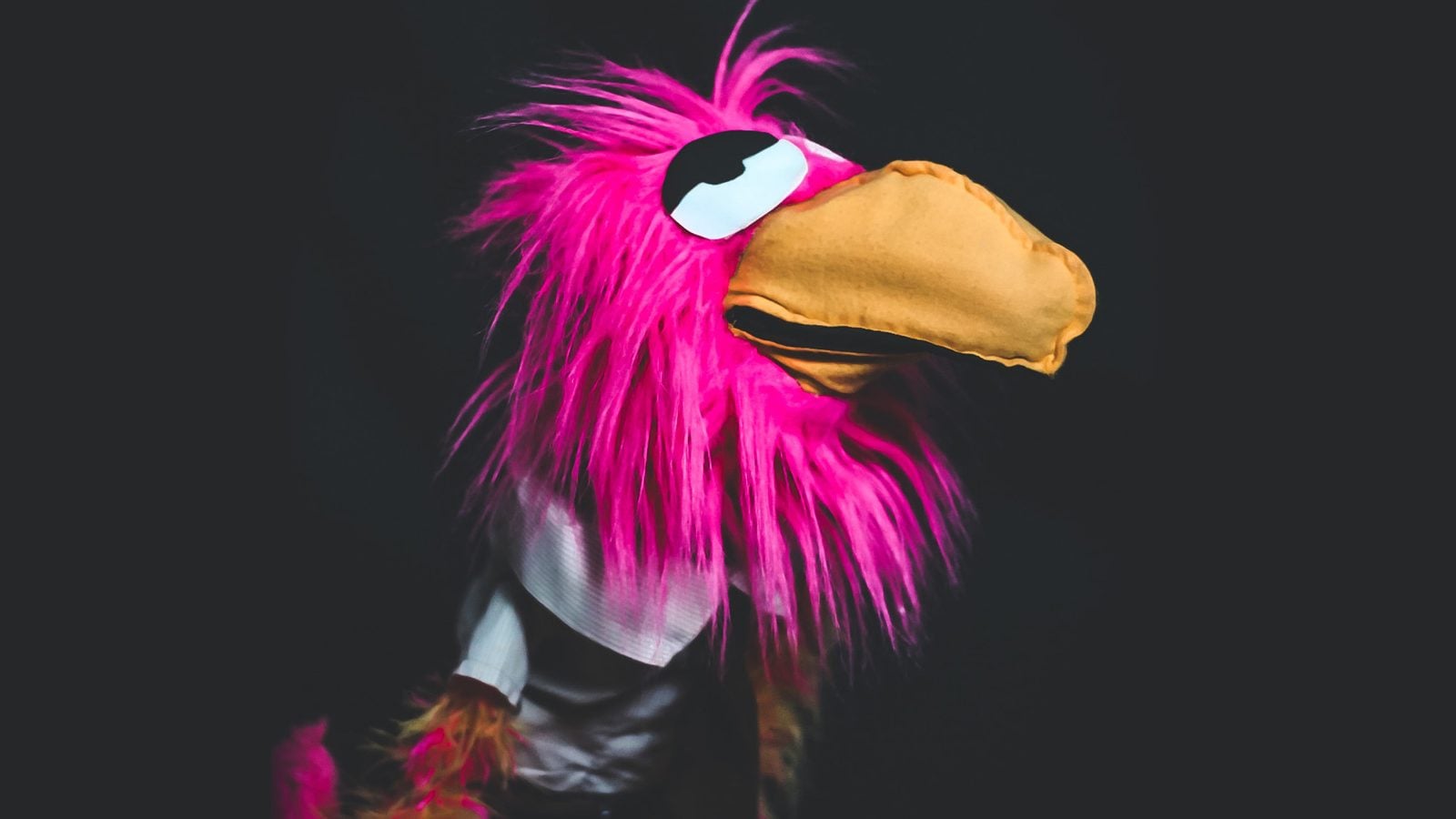 Chad the Bird at Madlab, part of the Columbus Comedy Festival 1 Chad the Bird at Madlab, part of the Columbus Comedy Festival