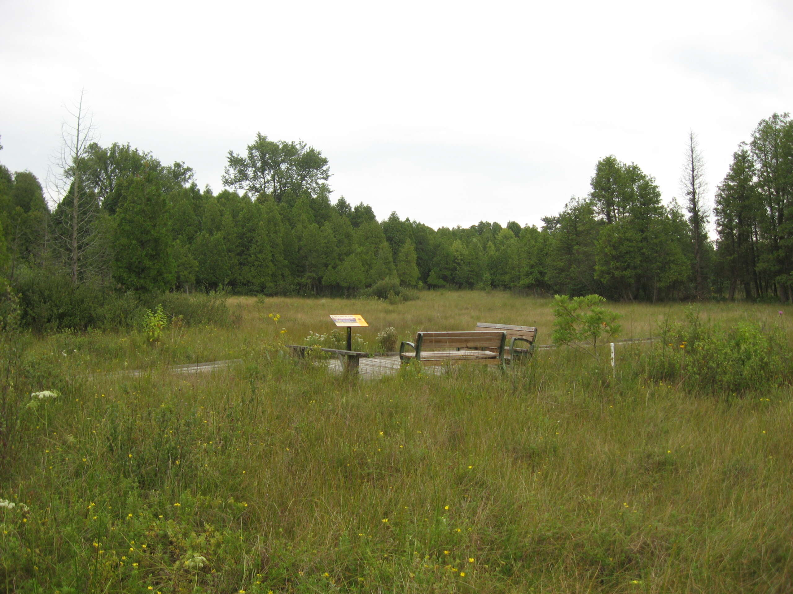 The 11 Most Bizarre Cryptids And Monsters From Ohio 5 Meadow at Cedar Bog Nature Preserve near Urbana
