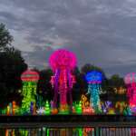 The Best Things To Do In Columbus This Weekend (August 21–23) chinese lanterns shaped like jelly fish