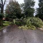 Why Columbus’ Tornado Sirens Stayed Silent During Tuesday’s Storm tree laying across road after storm