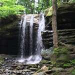 Dundee Falls spilling over a sandstone ledge into a wooded gorge