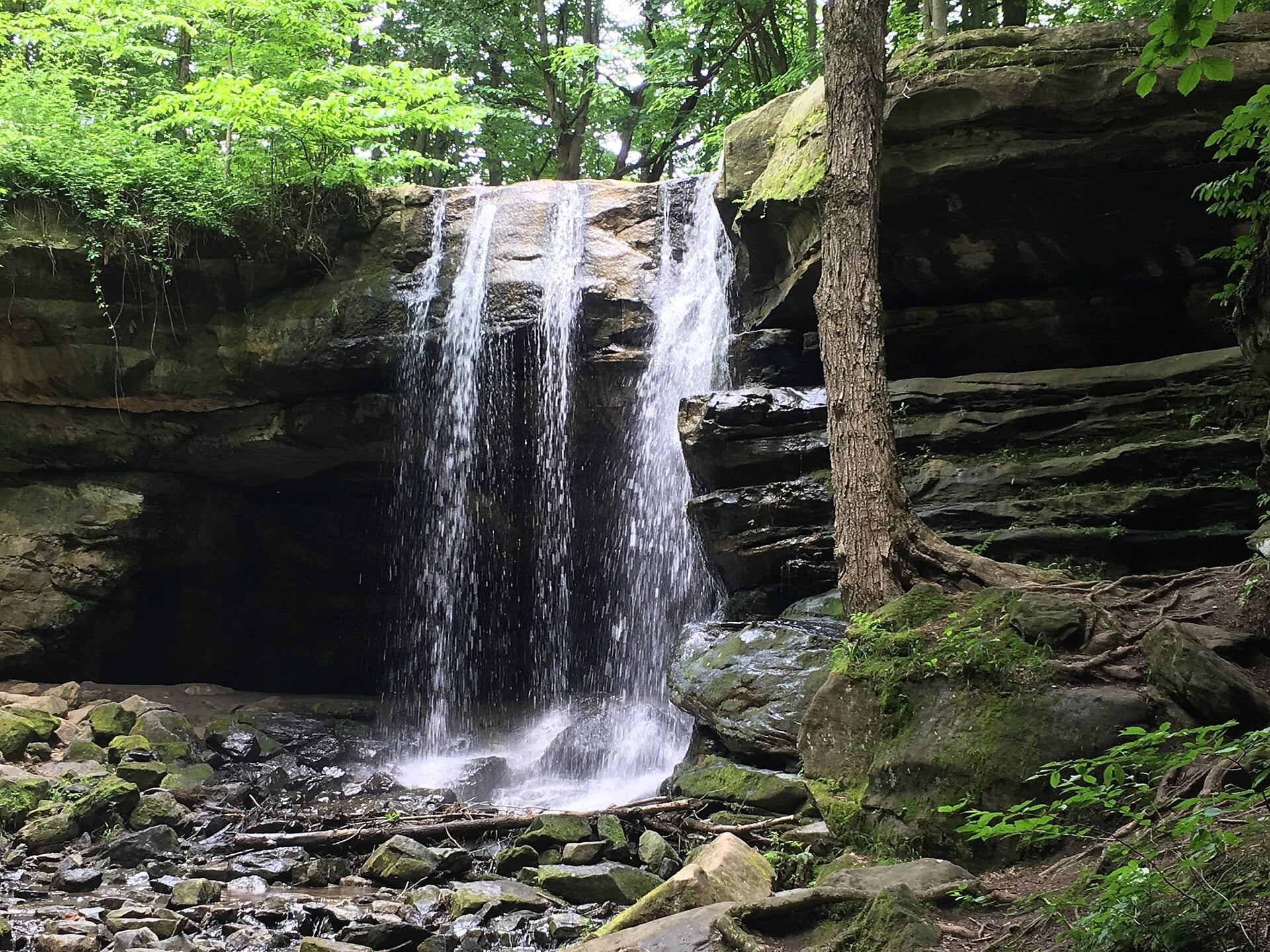 Dundee Falls spilling over a sandstone ledge into a wooded gorge