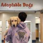 The Franklin County Dog Shelter Wants To Help You Meet Your New Best Friend person carrying golden retriever