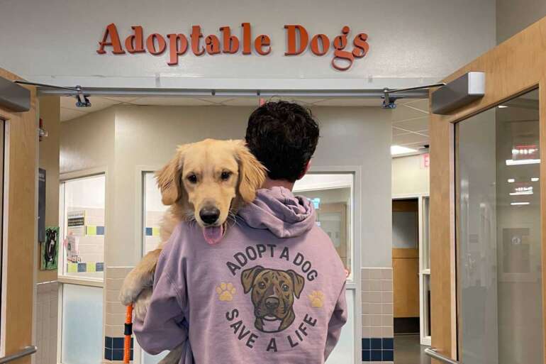 person carrying golden retriever