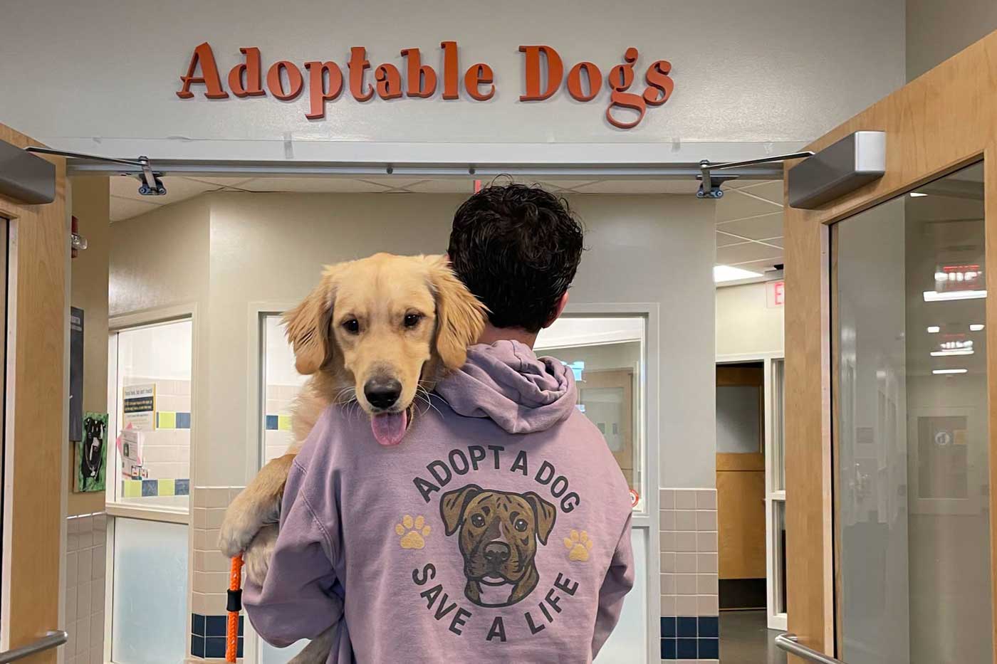 person carrying golden retriever