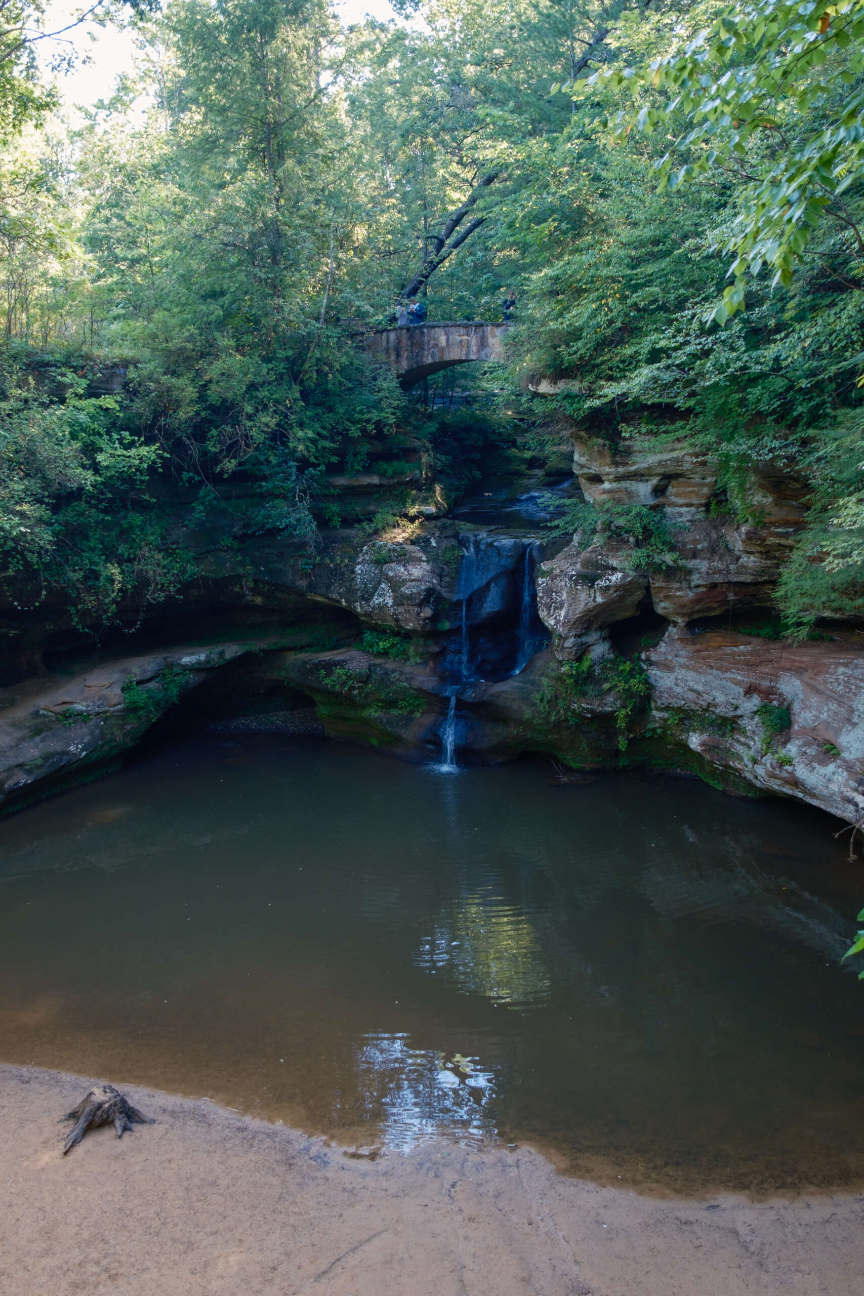 Windows Down, Leaves All Around: Ohio’s Top Scenic Fall Drives 6 Forest scenery in Hocking Hills State Park