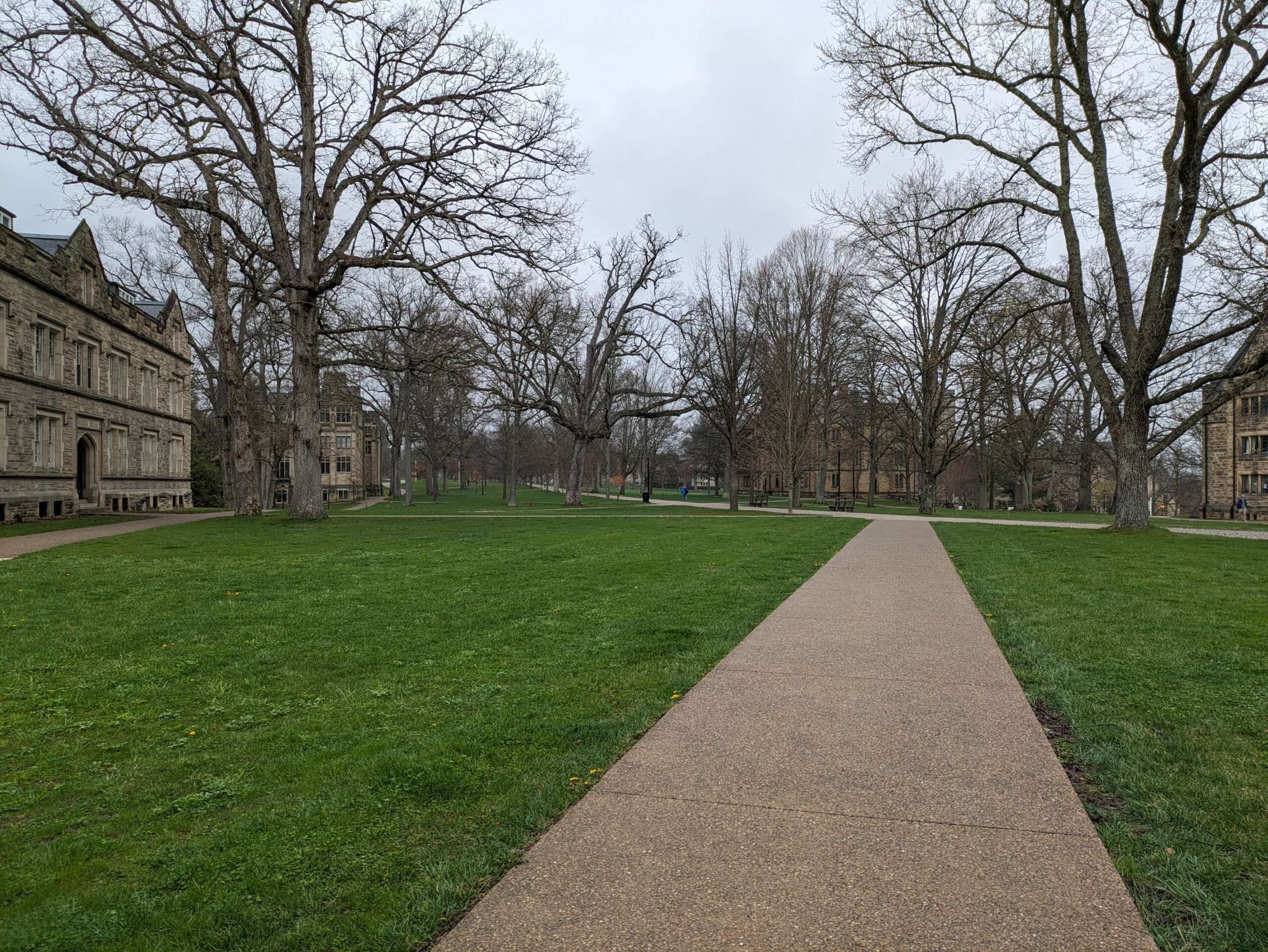 Tree-lined path across the Kenyon College campus in Gambier