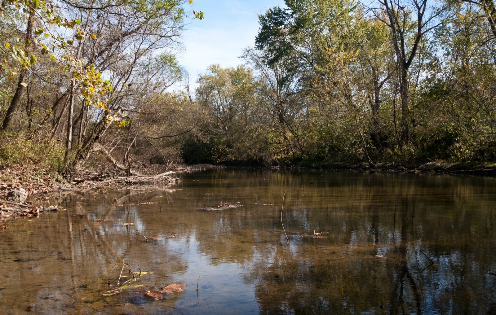 Little Darby Creek flowing between wooded banks at Battelle Darby Creek Metro Park