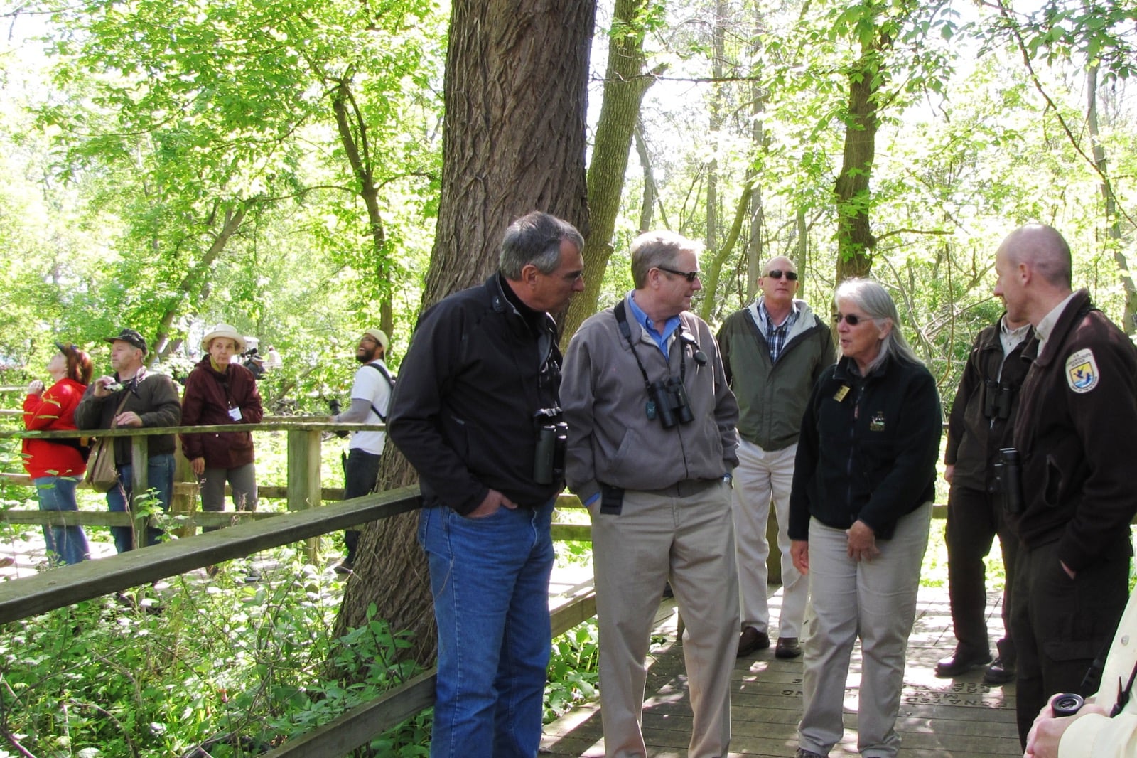 Birders with binoculars on the boardwalk at Magee Marsh Wildlife Area